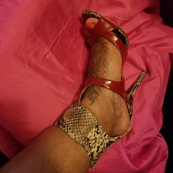 Red python - Picture 2 of 4